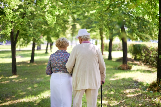 Back view of serene senior couple taking a walk in the park in summer
